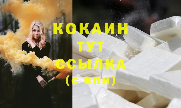 ГАЛЛЮЦИНОГЕННЫЕ ГРИБЫ Инта