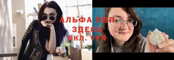 ГАЛЛЮЦИНОГЕННЫЕ ГРИБЫ Инта