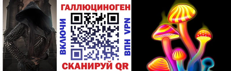 Купить закладки  Ветлуга  Галлюциногенные грибы GOLDEN TEACHER 